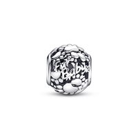 Charm Pandora Donna in Argento 792248C00 - 792248C00